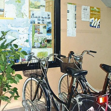 Apartment In Verbania Near Horseback Riding